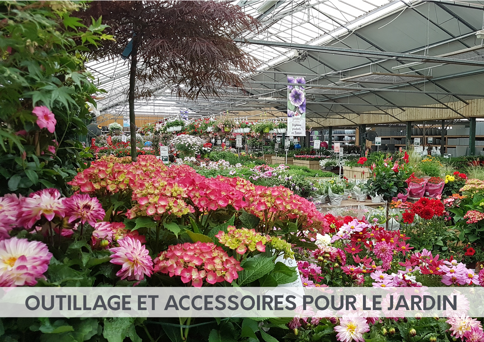 Jardinerie de TrouvilleAlliquerville Desjardins.fr